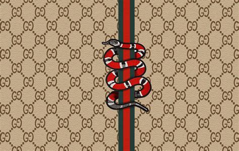 kingsnake pattern gucci